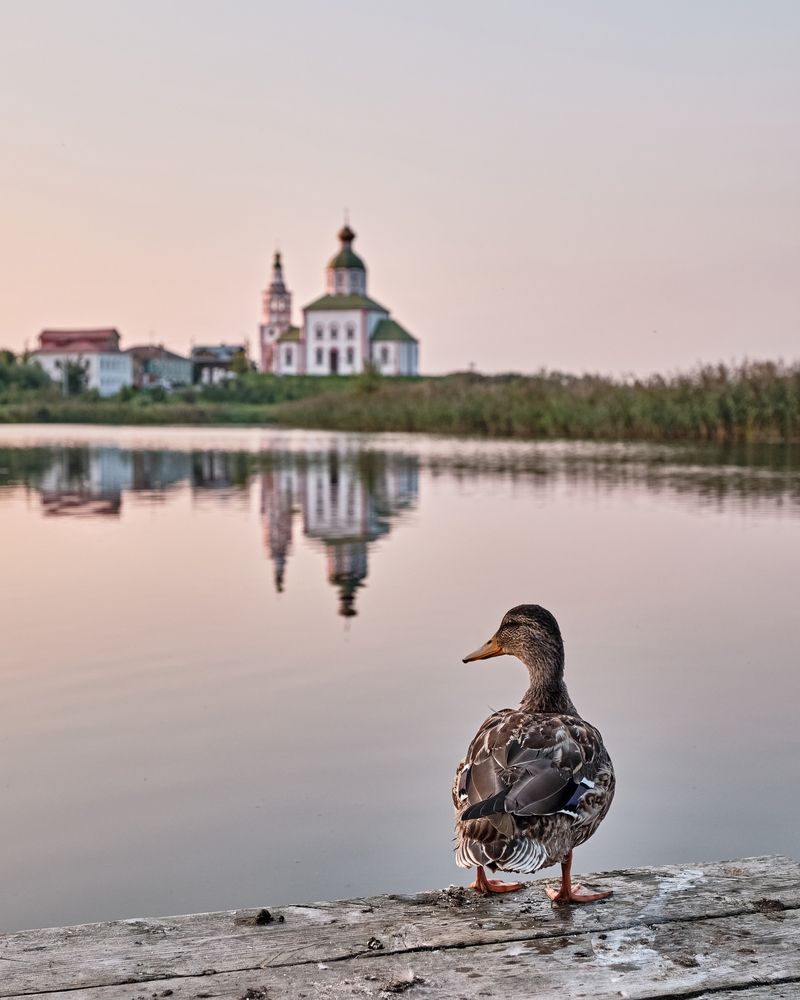 Фотография автора Владимир Эделев