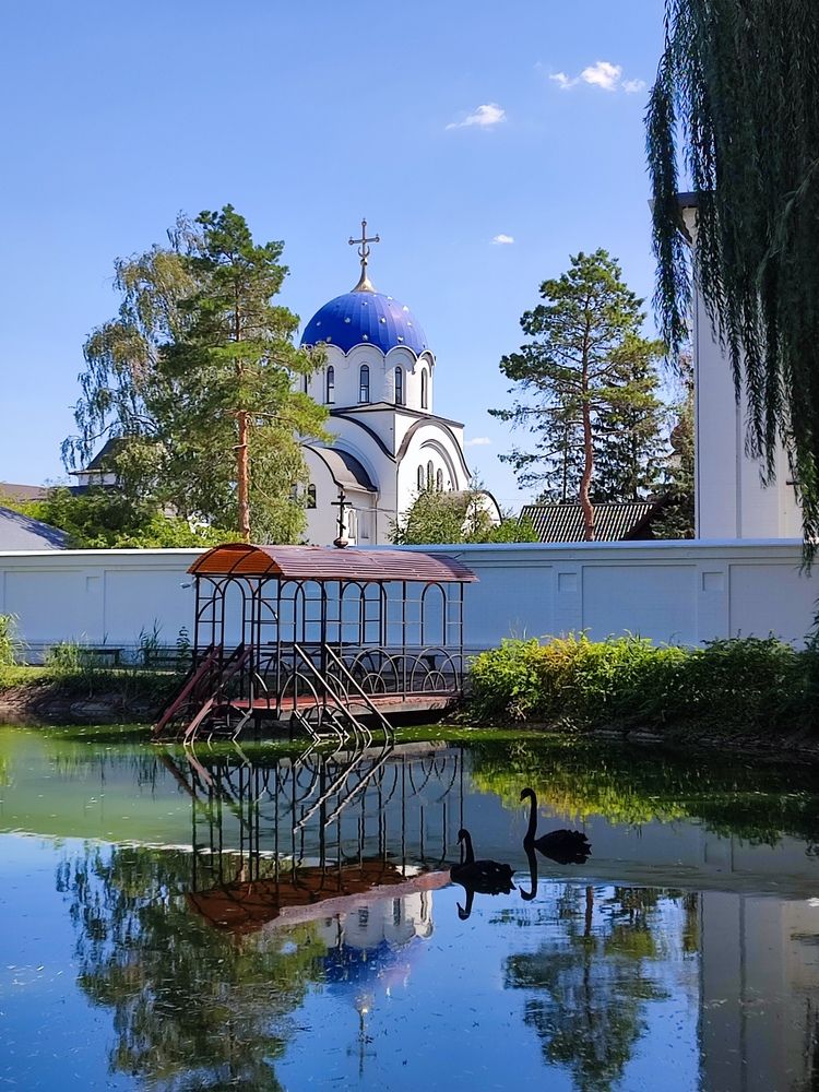 Фотография автора Татьяна Петренко
