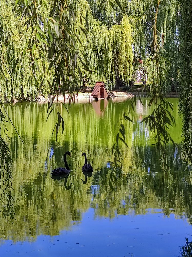 Фотография автора Татьяна Петренко