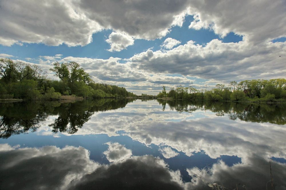 Фотография автора Илья К