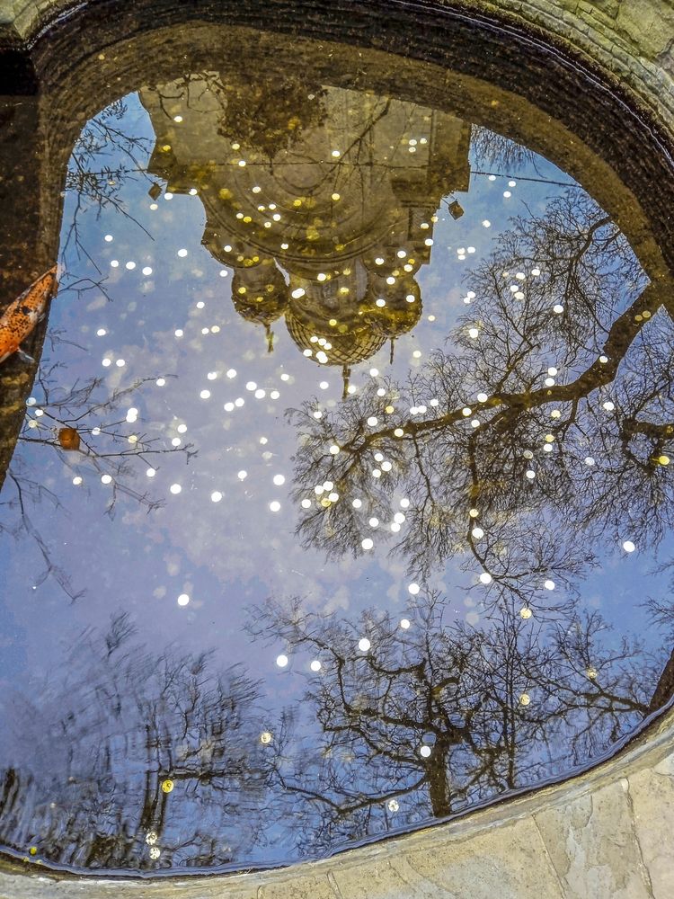 Фотография автора Татьяна Петренко