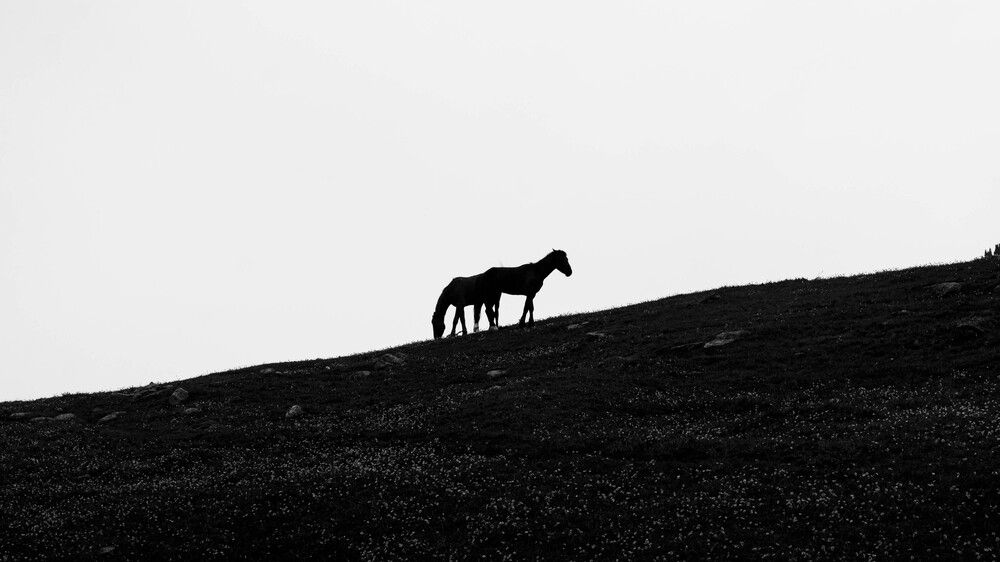 Photograph by Kristina
