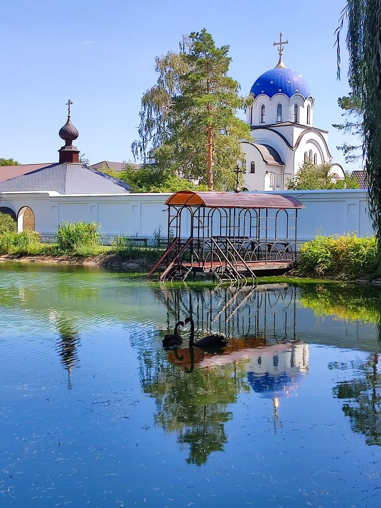 Фотография автора Татьяна Петренко