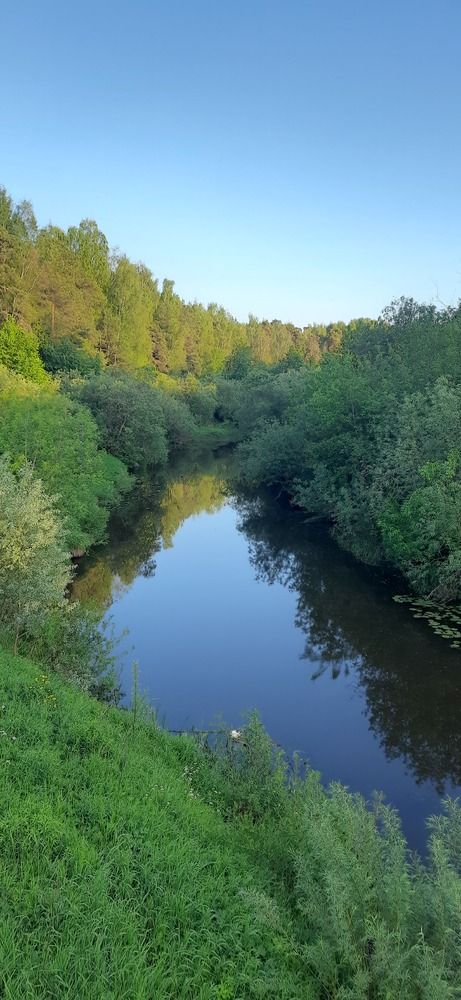 Photograph by Светлана Цапина