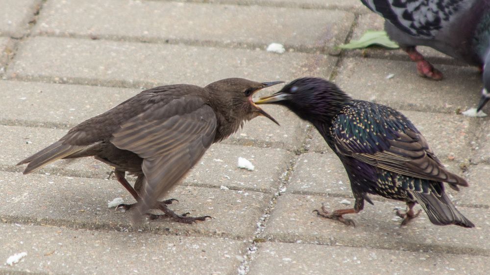 Photograph by Алексей Борисов