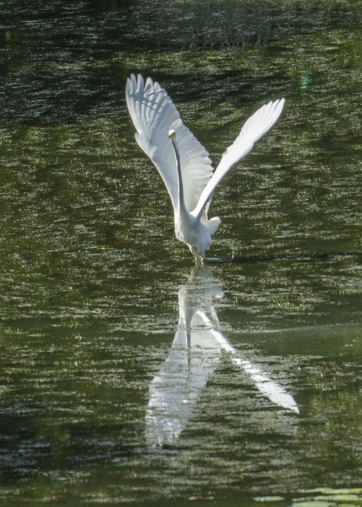 Photograph by Алексей Борисов