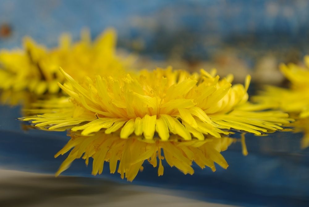 Photograph by Василий Богомолов