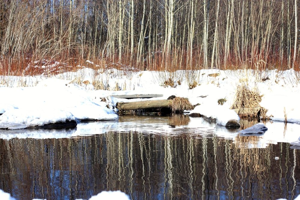 Photograph by Василий Богомолов