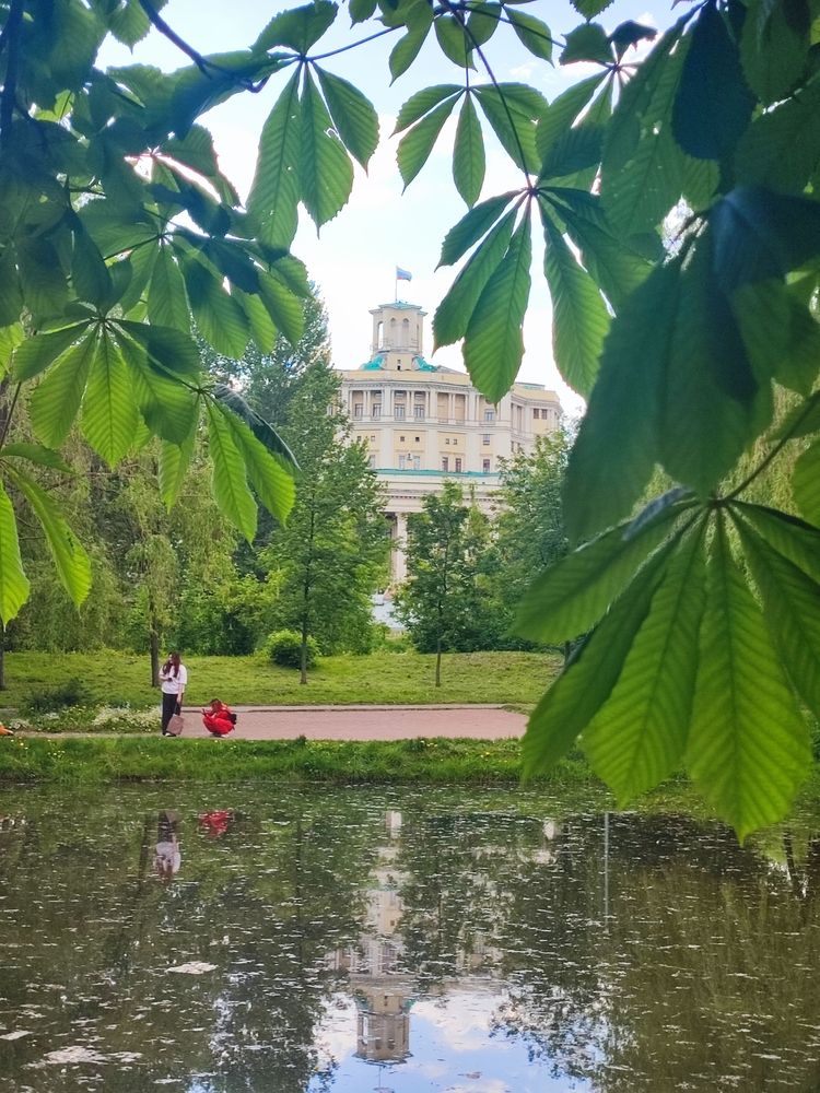 Photograph by Елена Шоколенко