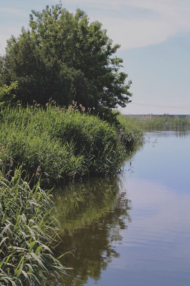 Photograph by Татьяна Смирнова