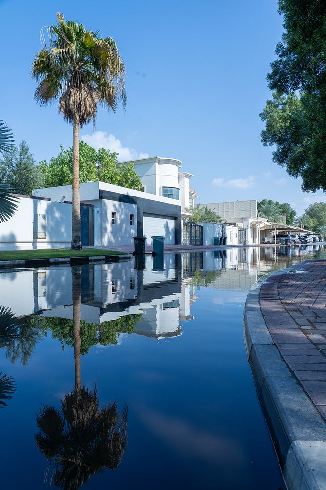 Фотография автора Mohsen Naranjani