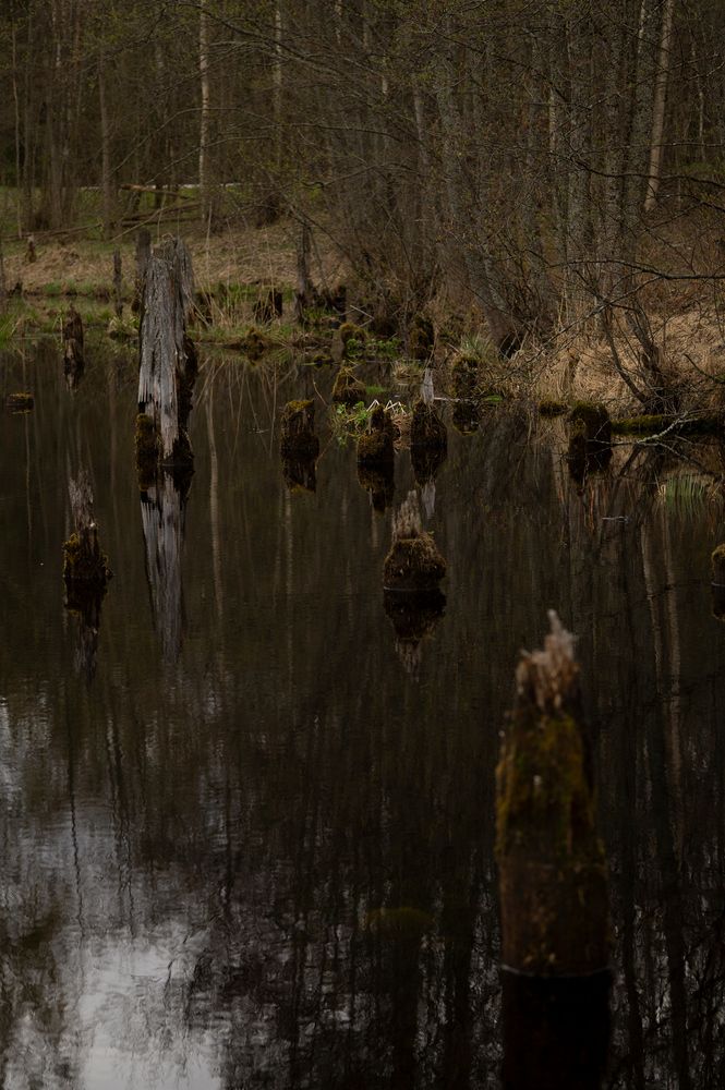 Photograph by Екатерина Одинцова