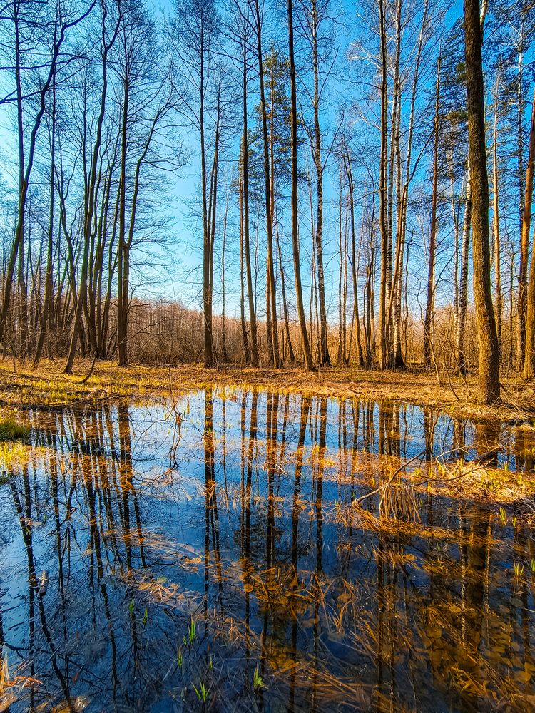 Фотография автора Александр Хухлов