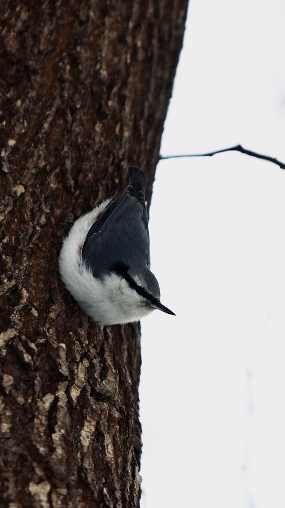 Photograph by Вага Илья