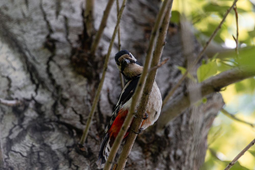 Photograph by Вага Илья