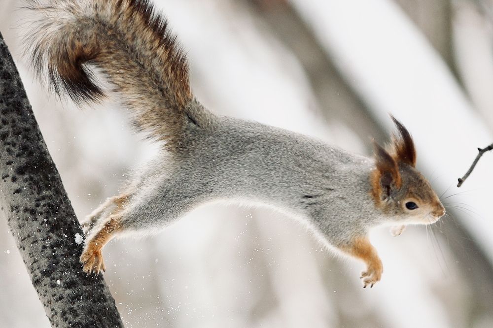 Photograph by Вага Илья