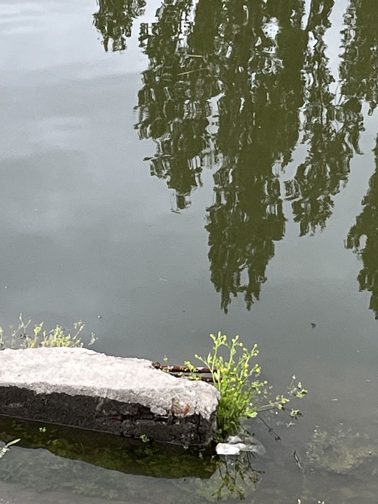 Photograph by Erika Osipova