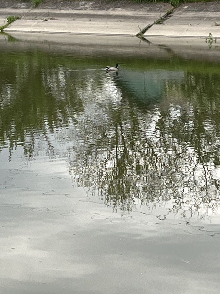 Photograph by Erika Osipova