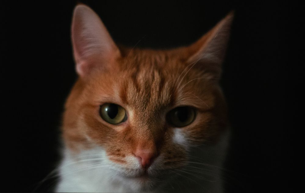 Photograph by Клюков Виталий