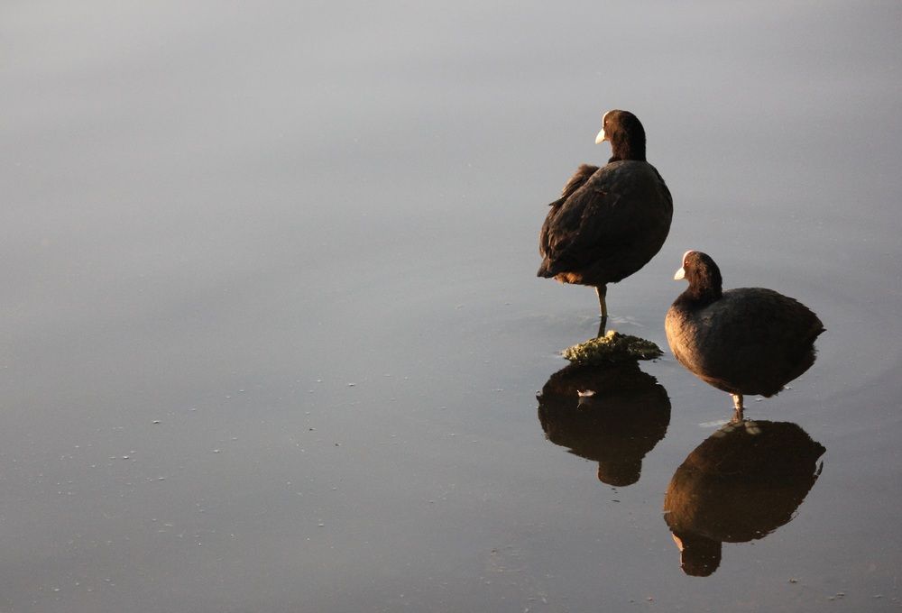 Photograph by Татьяна Сычёва