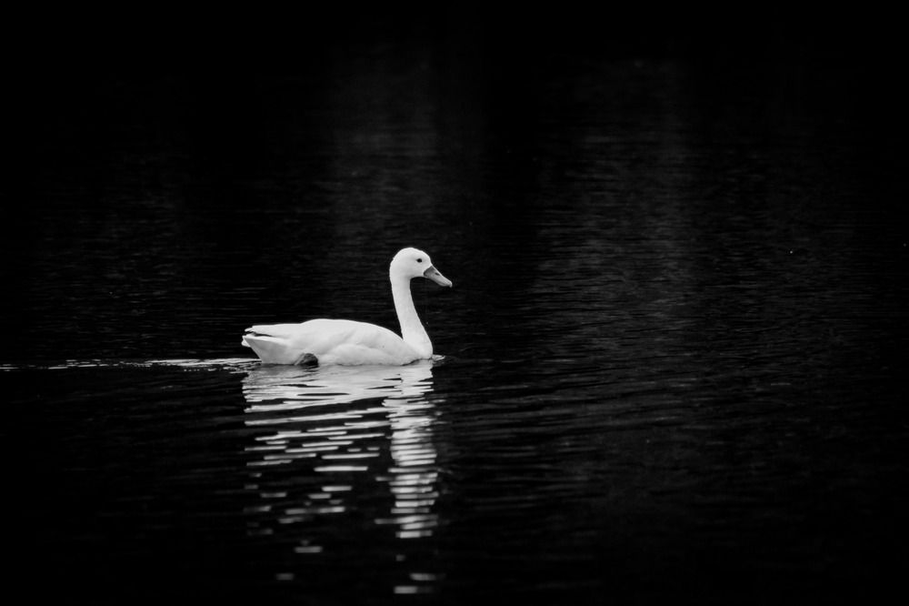 Photograph by Fernando Gabriel Castro Ortiz