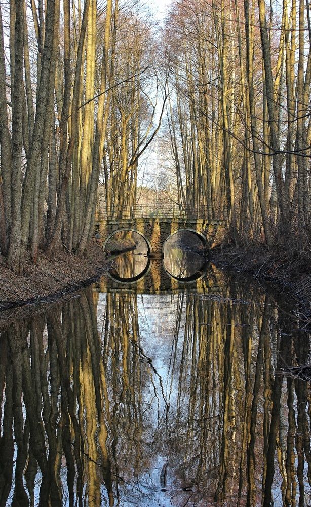 Photograph by Татьяна Сычёва