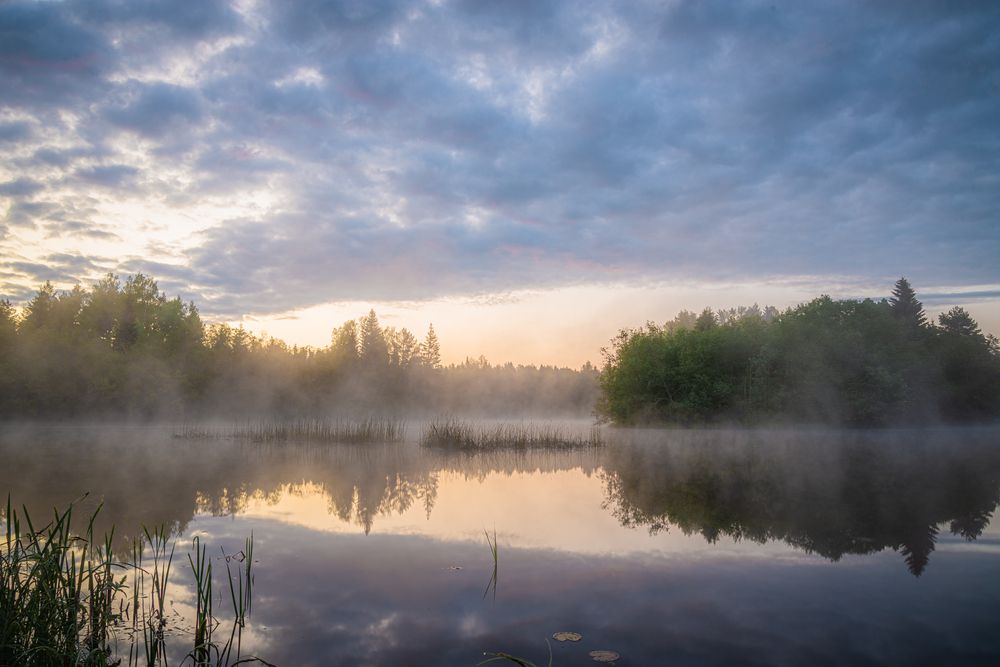 Photograph by Кокорин Алексей