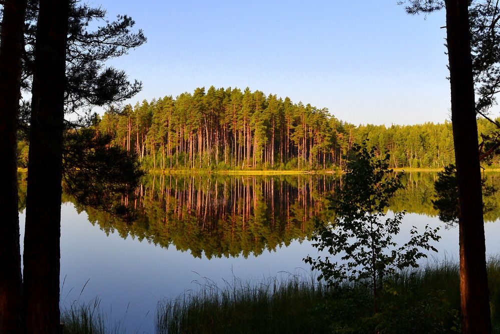 Photograph by Москалев Андрей