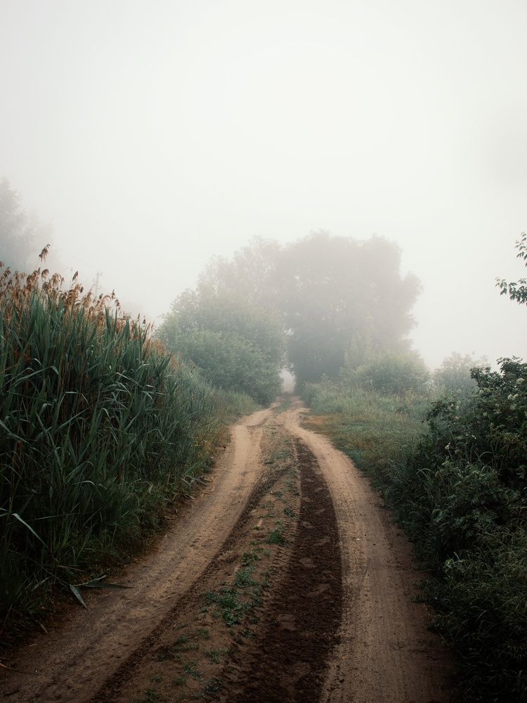 Photograph by Анна Любимова