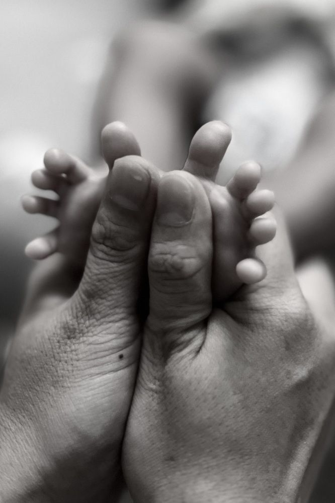 Photograph by Hải Trần