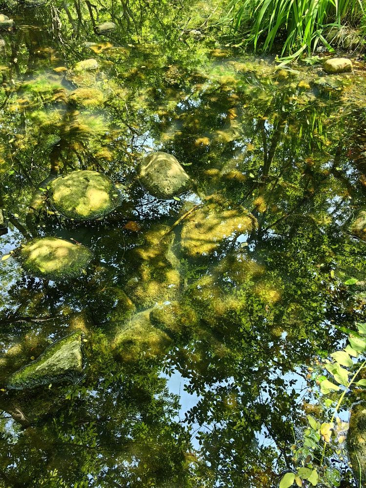 Photograph by Игорь Крыжко