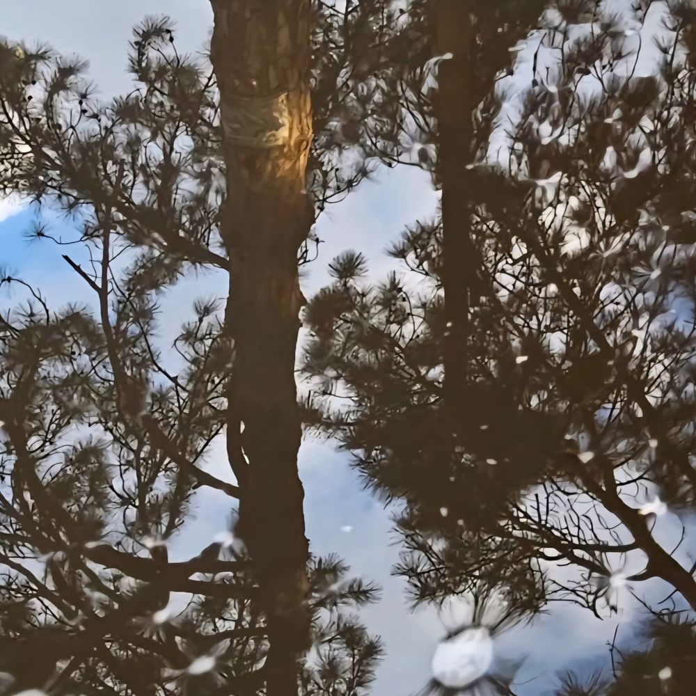 Photograph by Елена Мазуренко