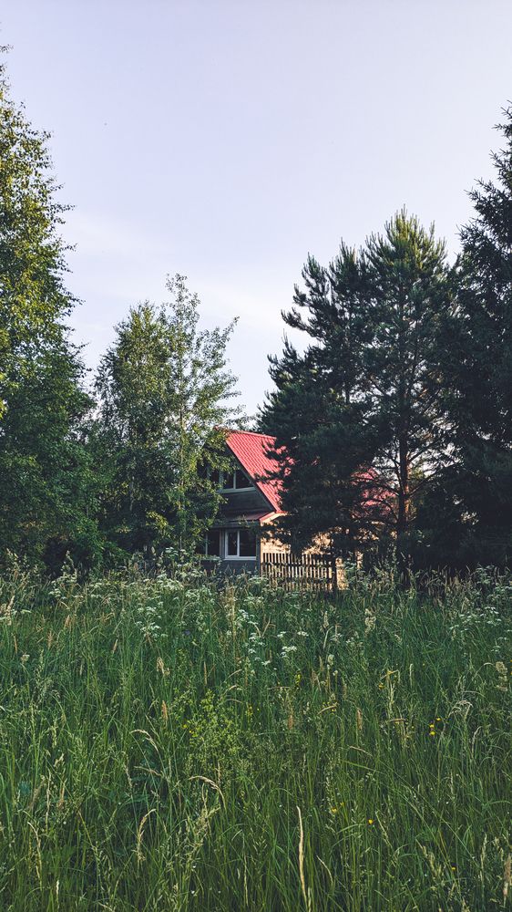 Photograph by Alise Inast