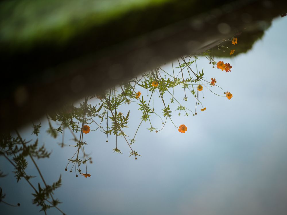 Photograph by LuqK