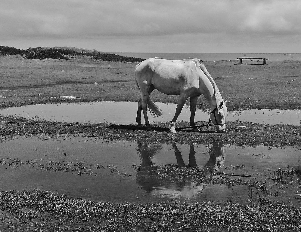 Photograph by Roberto Hagemann