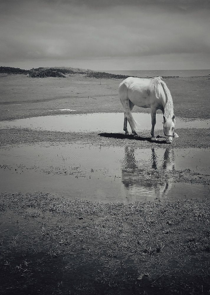 Photograph by Roberto Hagemann