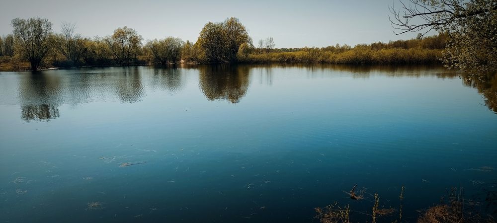 Photograph by Mishel Photographer