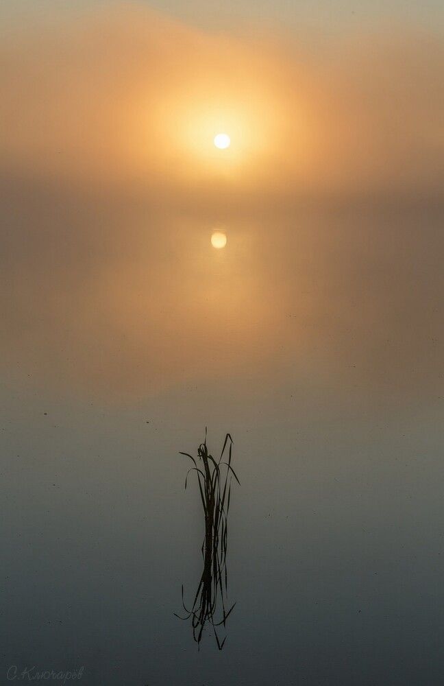 Отражение 3