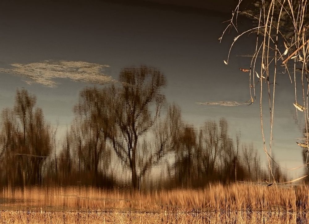 Фотография автора Роман Савоцкий