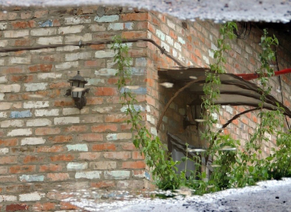 Фотография автора Роман Савоцкий