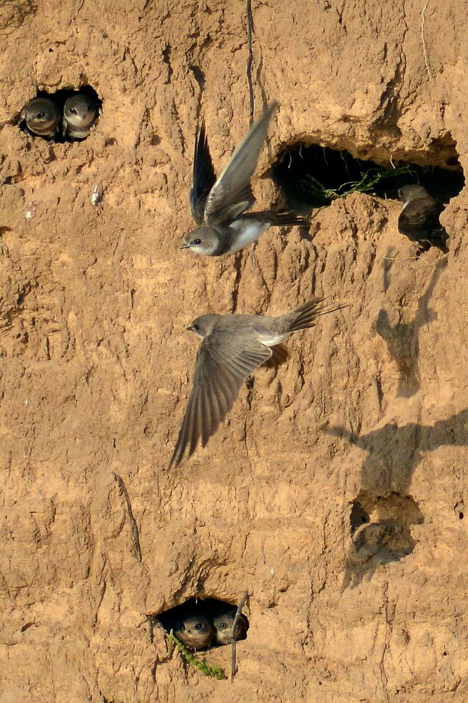 Photograph by Владислав Иопек