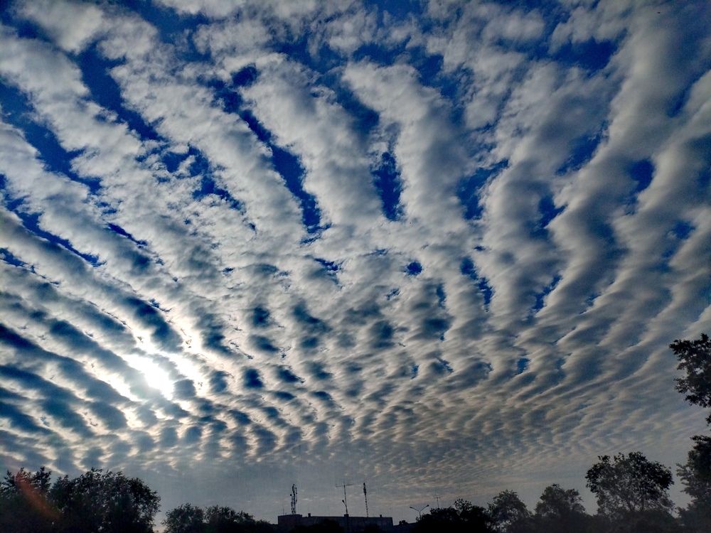 Photograph by Светлана Середина