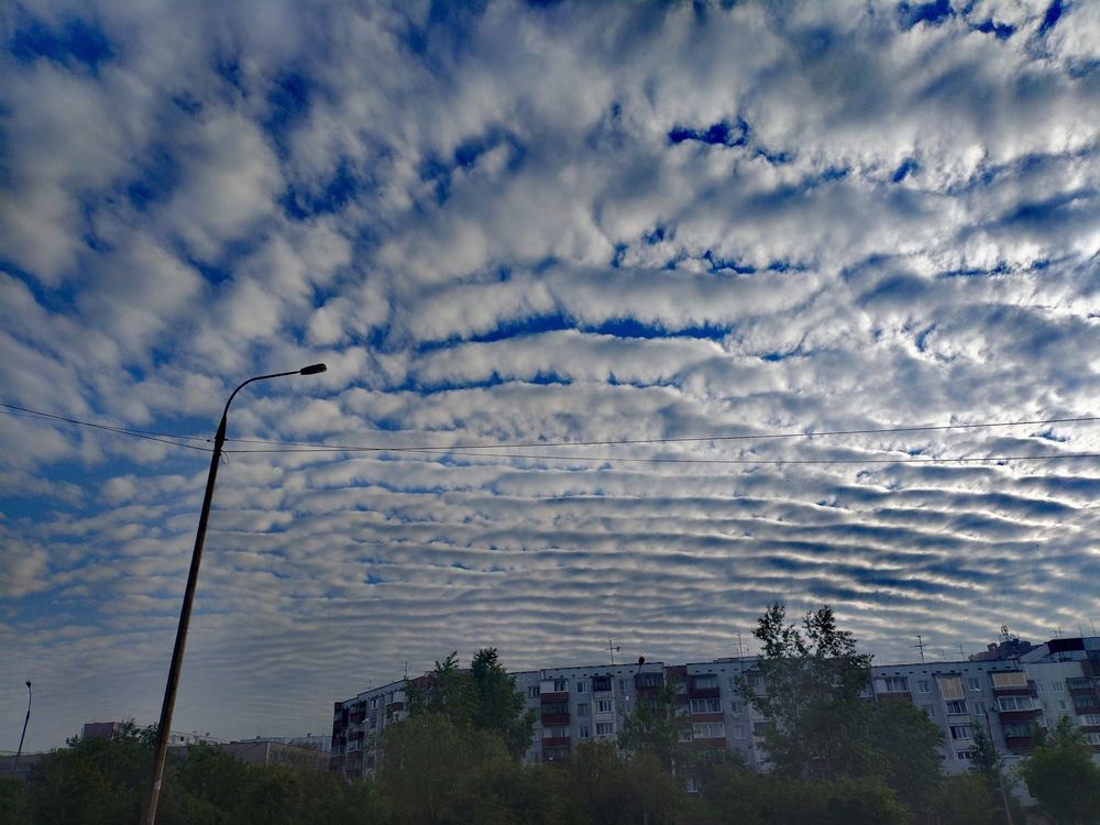 Photograph by Светлана Середина