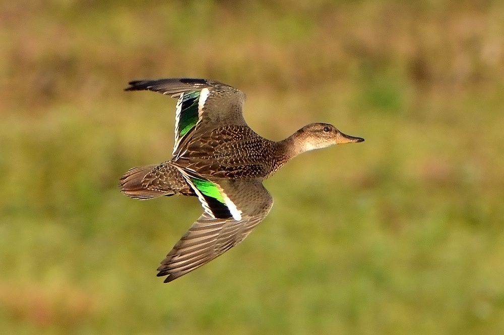 Photograph by Владислав Иопек