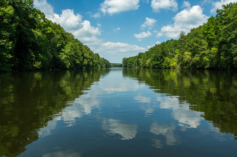 Photograph by Виталий Новиков