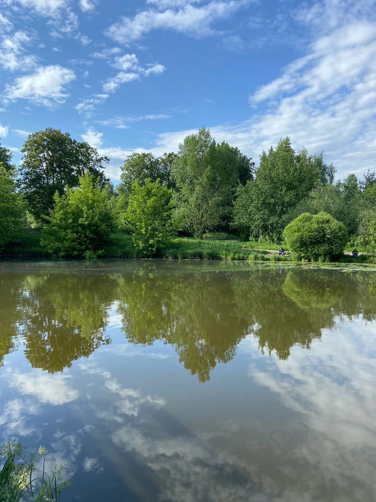 Photograph by Елена