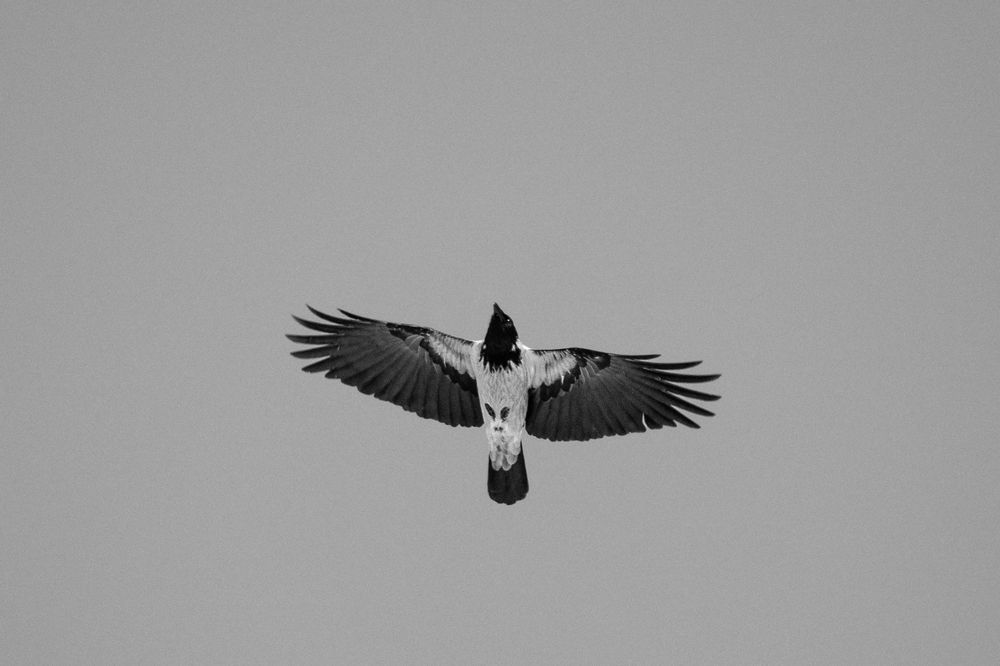 Photograph by Кульчицкий Андрей