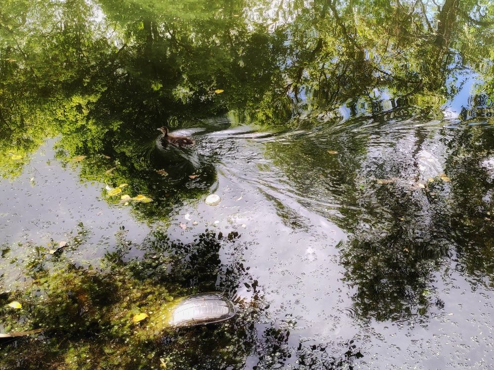 Photograph by Калюнова Наталья