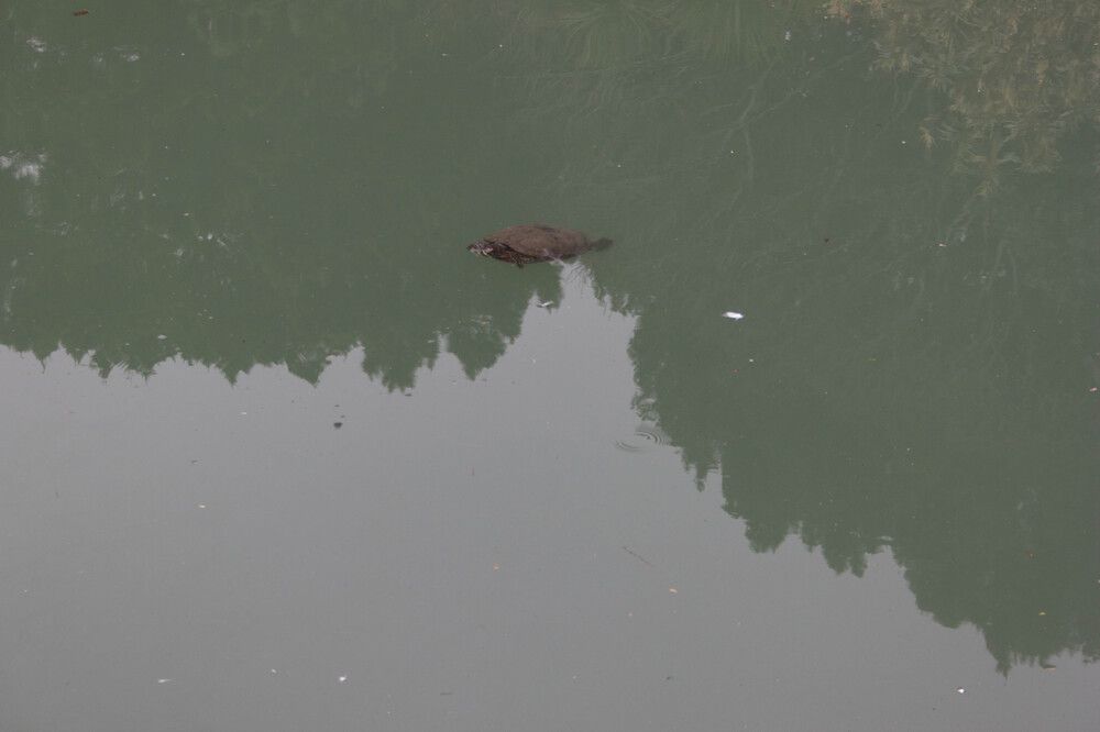 Photograph by Елена Казаренко