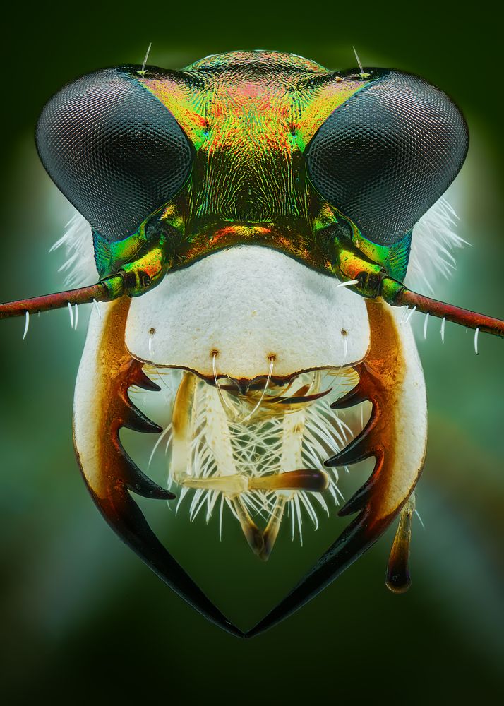 Photograph by Tran The Ngoc